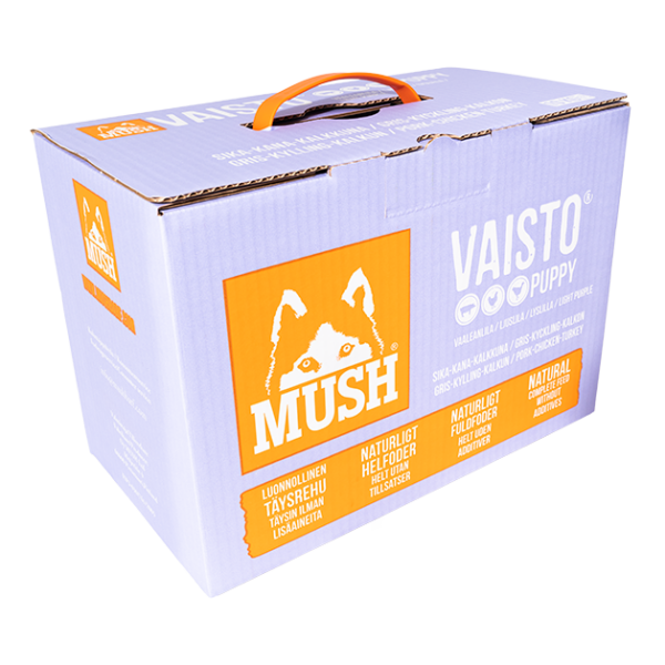 Mush Vaisto Ljuslila
