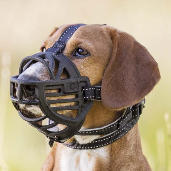 Trixie Munkorg Muzzle Flex silicon
