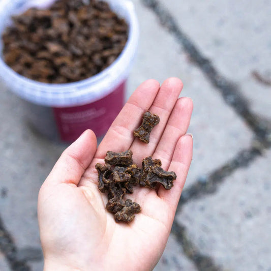 Buddy - Venison Training Snack 100g