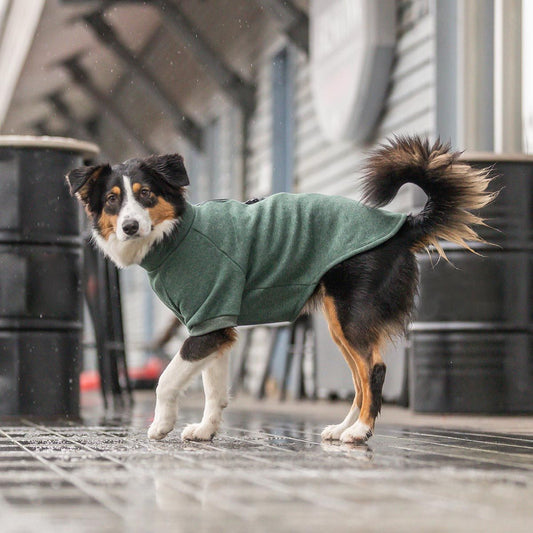 Trixie Sweatshirt CityStyle Amsterdam Grön