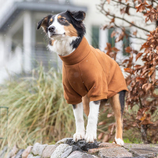 Trixie Sweatshirt CityStyle Amsterdam Brun