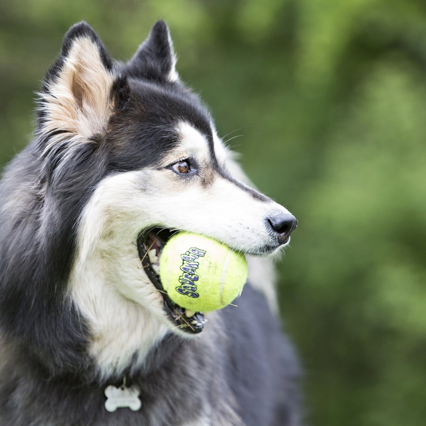KONG Leksak SqueakAir Ball Gul M