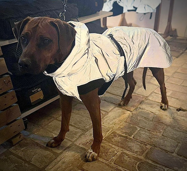 Dogman Reflextäcke Roffe Light