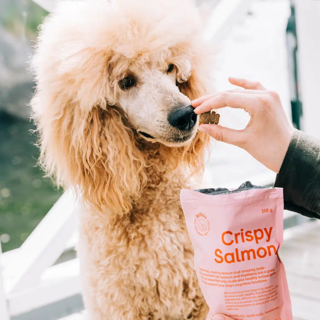 Buddy - Crispy Salmon 150g
