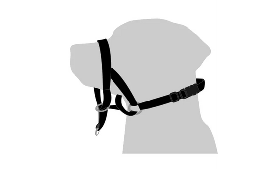 Flamingo Nosgrimma Easy Leader