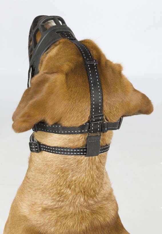 Trixie Munkorg Muzzle Flex silicon