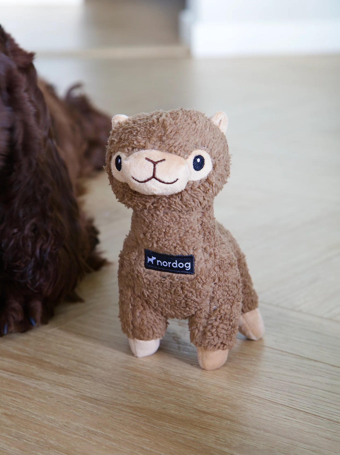 Nordog Benji Mini Alpacka