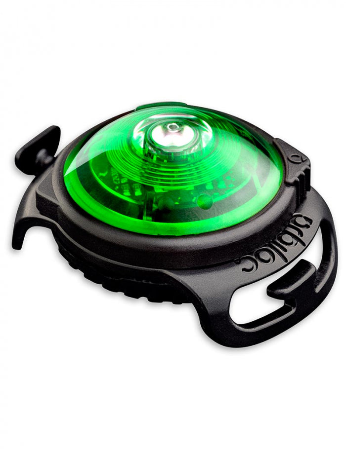 Orbiloc Dual Lampa till halsband