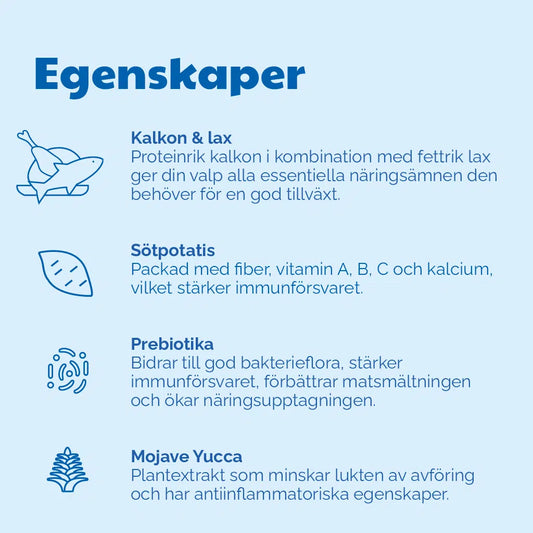 Buddy - Puppy Love, Puppy