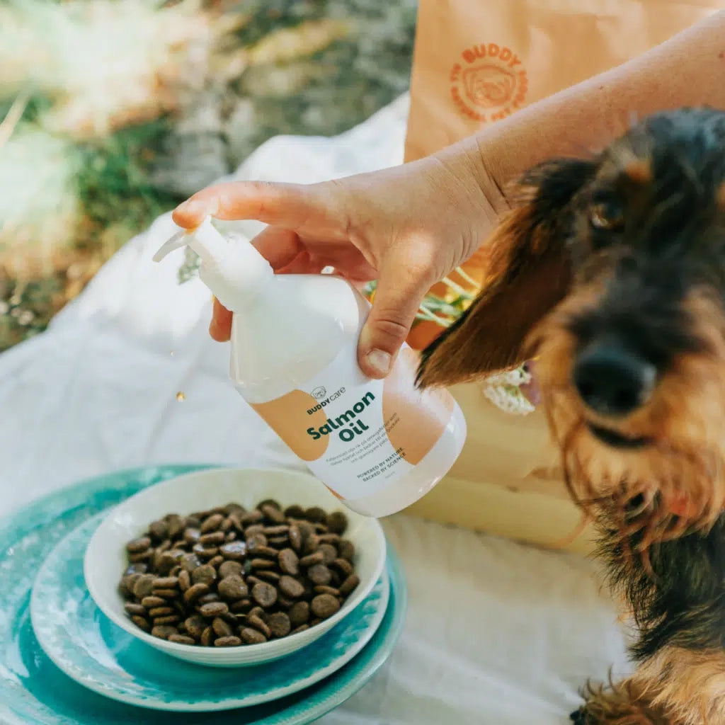 Buddy Salmon Oil