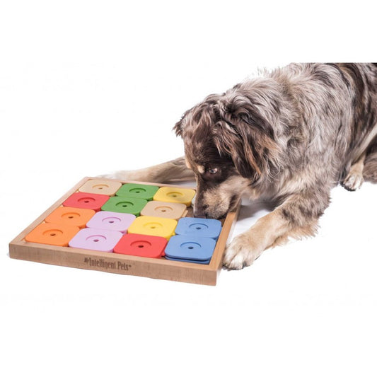 My intelligent pet Sudoku Medium Genie Color