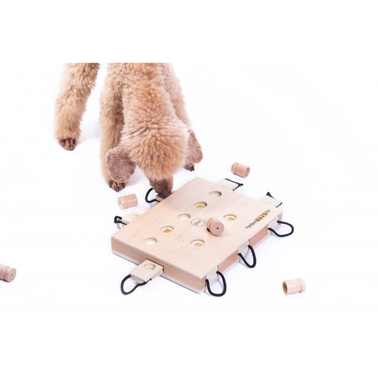 My intellegent pet iPet@