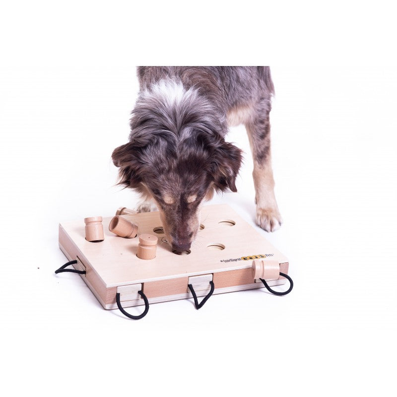 My intellegent pet iPet@