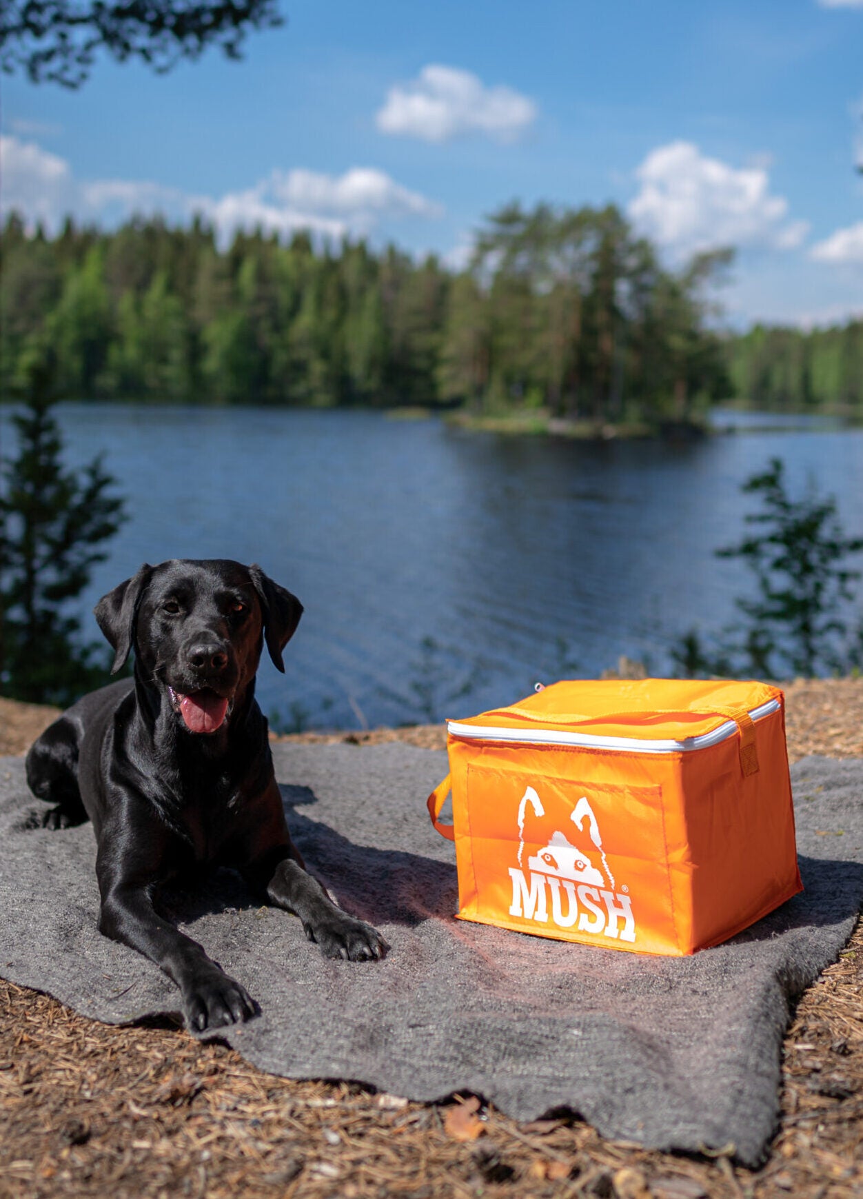 Mush Kylväska