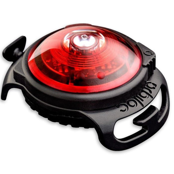 Orbiloc Dual Lampa till halsband