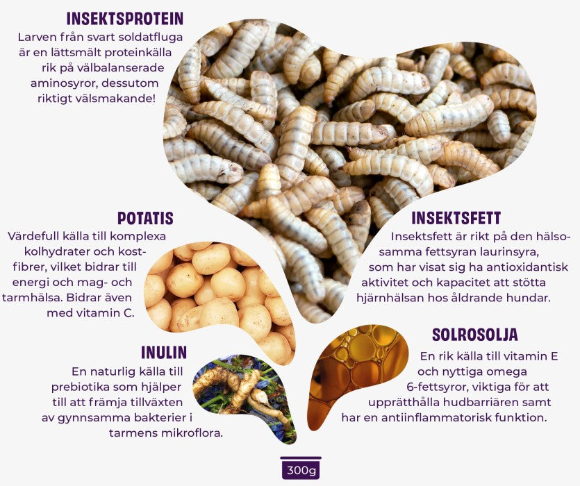 Petgood insektsbaserat våtfoder vuxna hundar