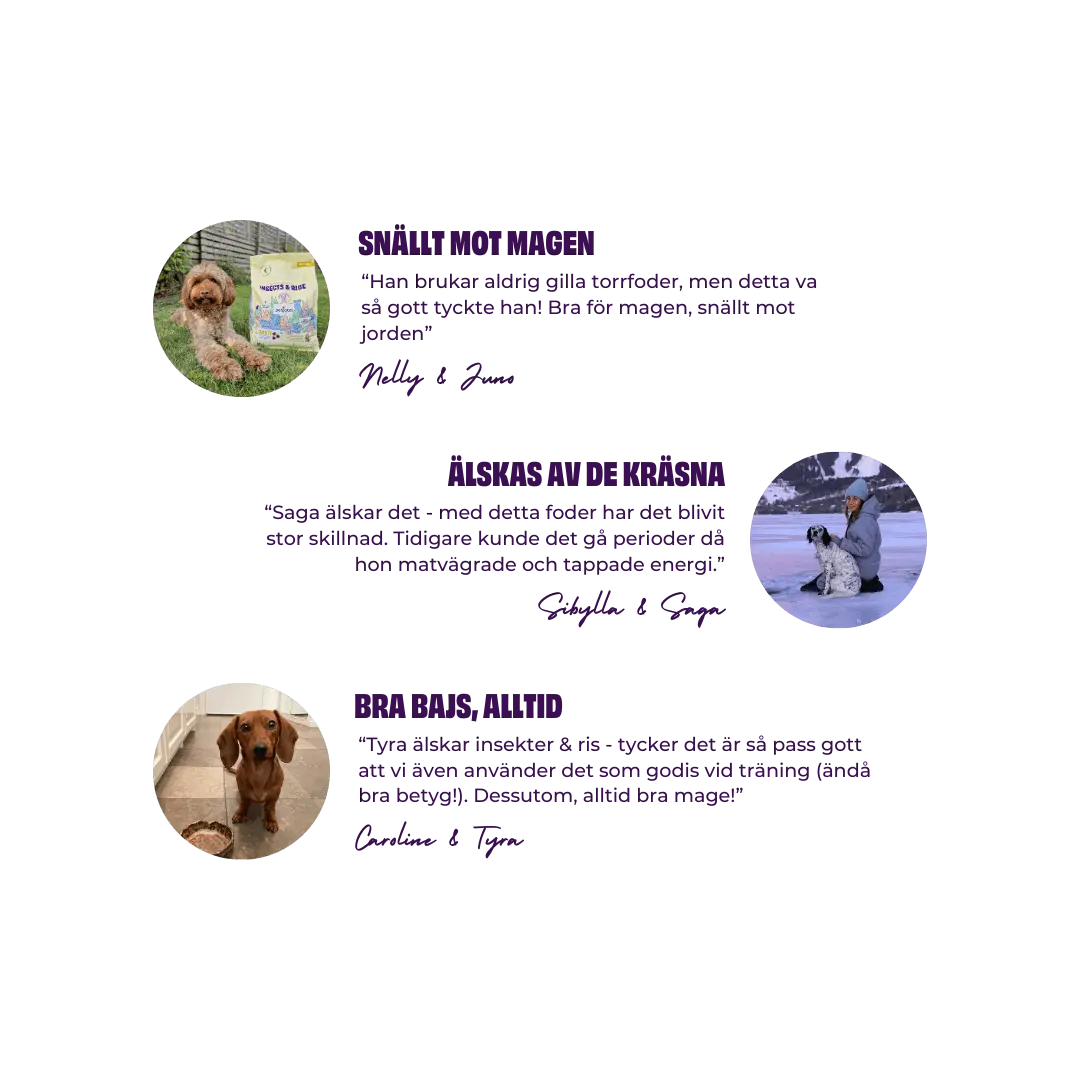 Petgood Insekter & Ris