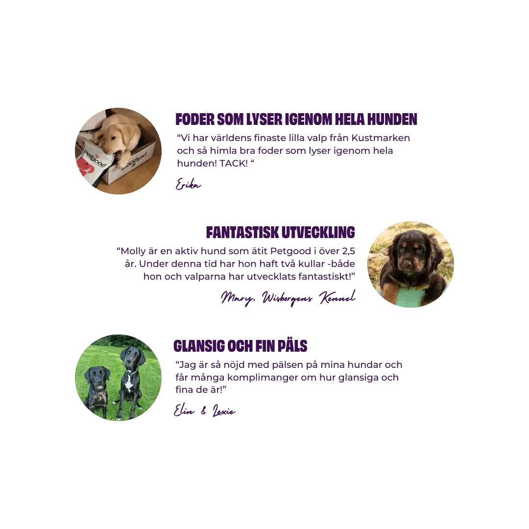 Petgood PUPPY insektsbaserat helfoder