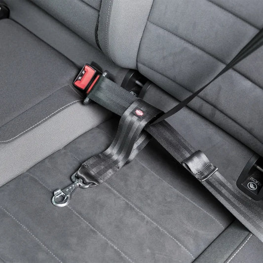 Trixie Universalfäste till bilsele