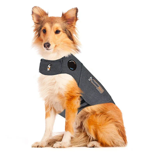 Thundershirt till Hund