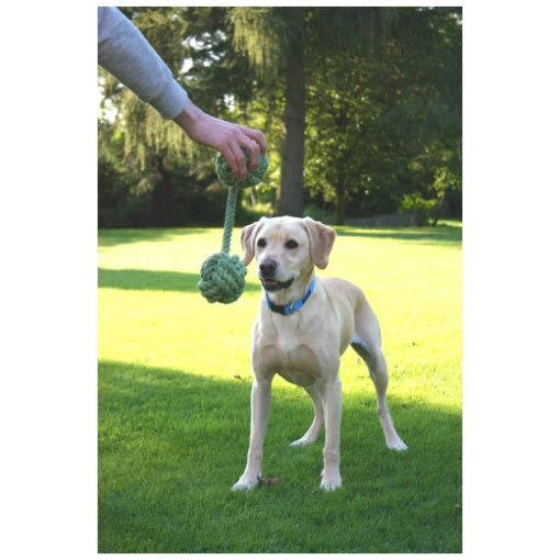 Flossrephantel King-size 44cm