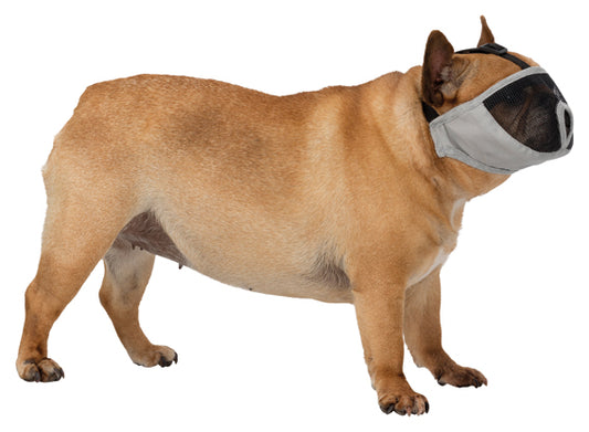 Trixie Munkorg för Kortnosiga