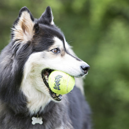 KONG Leksak SqueakAir Ball Gul M