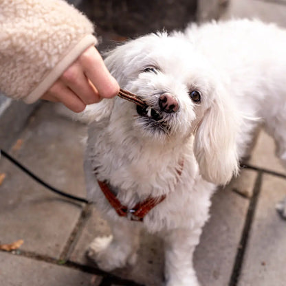 Buddy - Dental Chews with Beef & Duck 100g