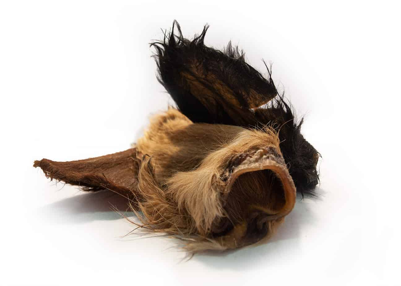 Emmzo - Svenskt oxöra med päls