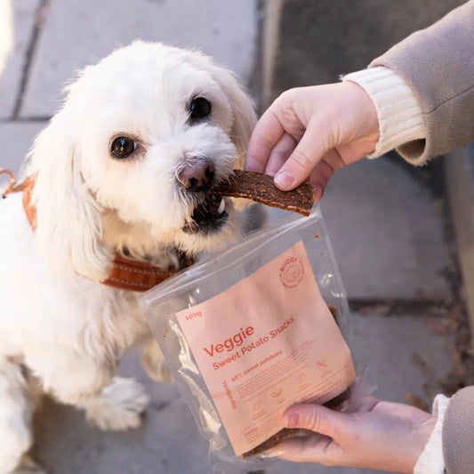 Buddy - Veggie Sweet Potato Snack 100g