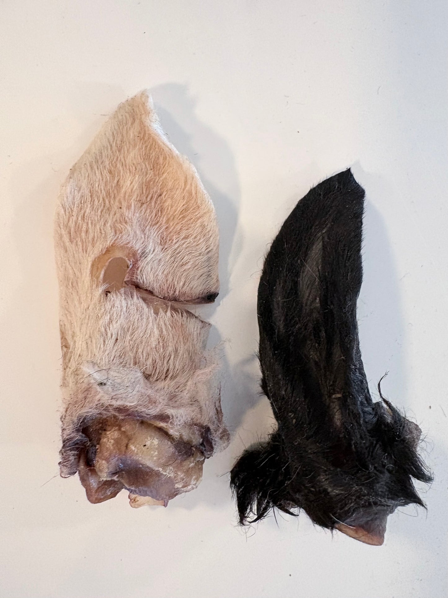 Emmzo Lammöra med Päls