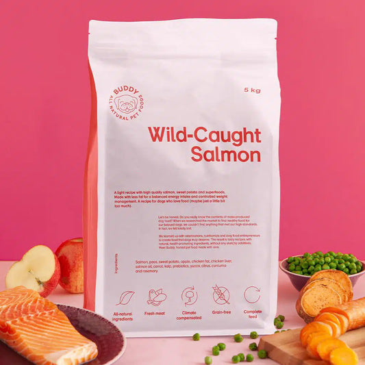 Buddy - Wild-Caught Salmon, Senior/Light