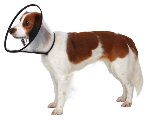 Trixie Hundkrage med kardborre