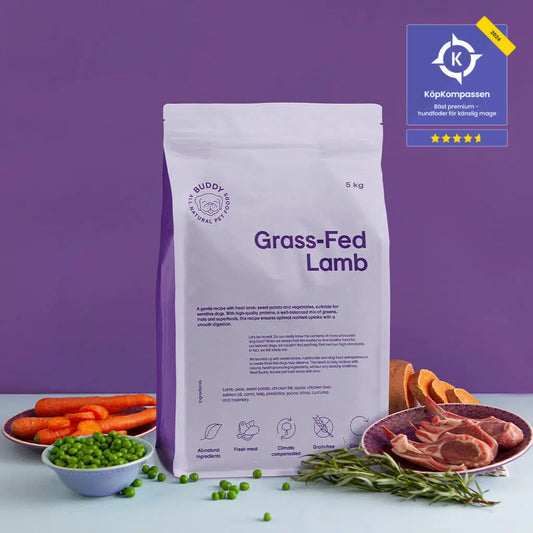 Buddy - Grass-Fed Lamb, Sensitive