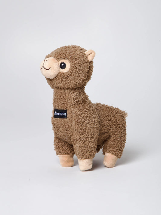 Nordog Benji Mini Alpacka