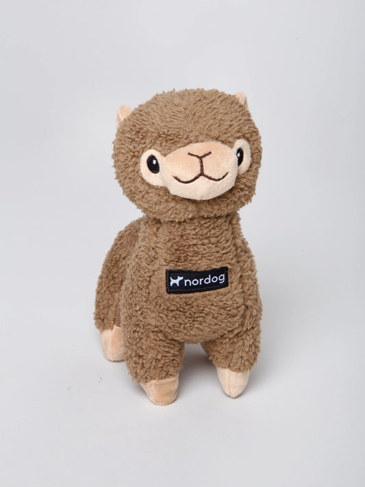 Nordog Benji Mini Alpacka
