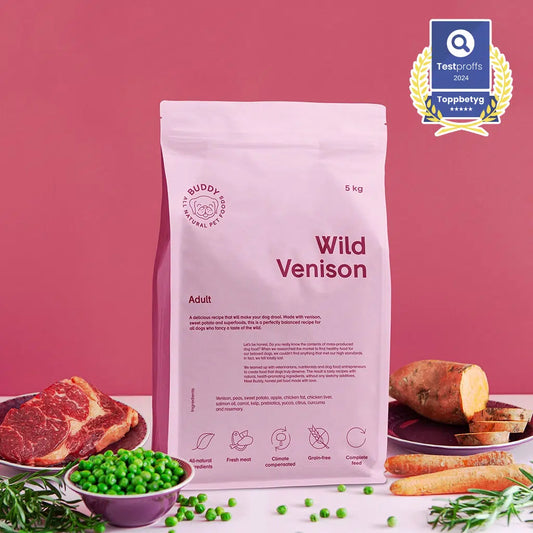 Buddy - Wild Venison, Adult