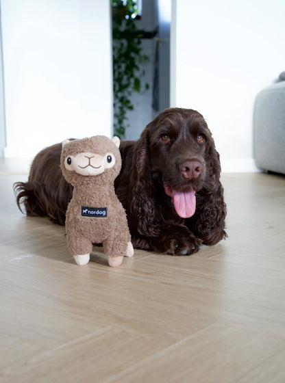 Nordog Benji Mini Alpacka