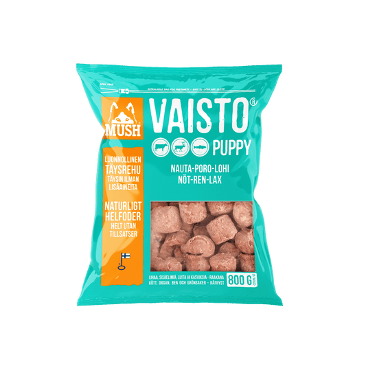 Mush Vaisto Isblå