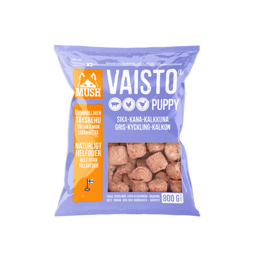 Mush Vaisto Ljuslila