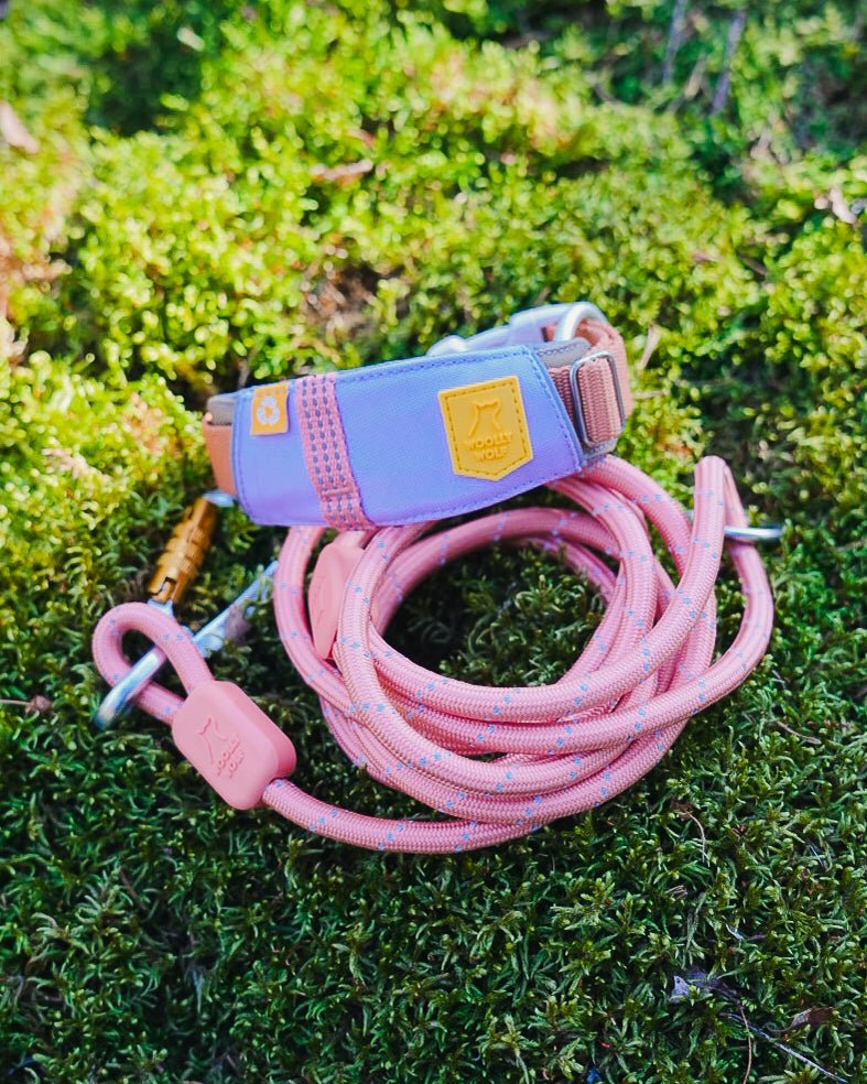 Woolly Wolf Halsband Alpha 360