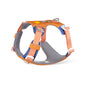 Woolly Wolf Sele Alpha 360
