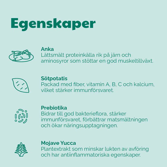 Buddy - Free-Range Duck, Active