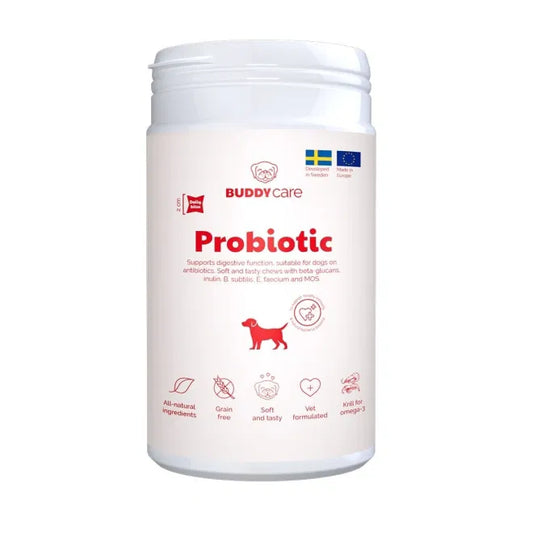 Buddy Care Probiotic