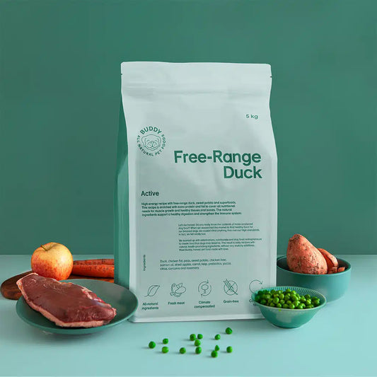 Buddy - Free-Range Duck, Active