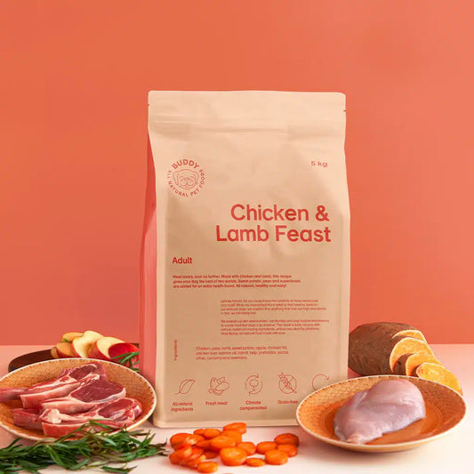 Buddy - Chicken & Lamb Feast, Adult