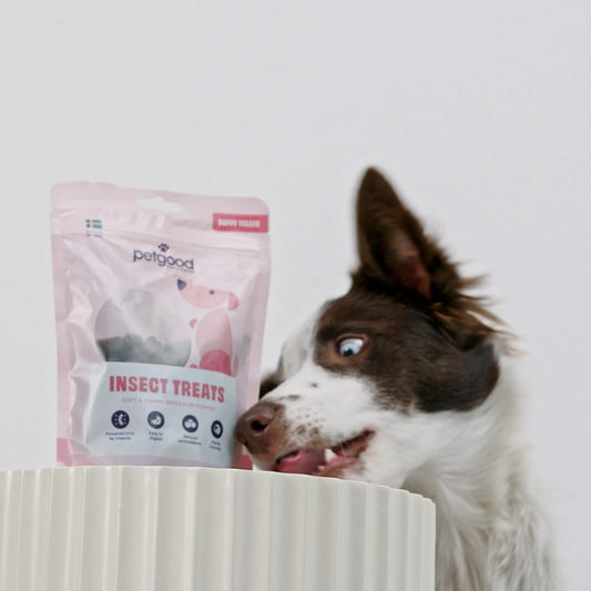 Petgood insektsbaserat valpgodis 100g
