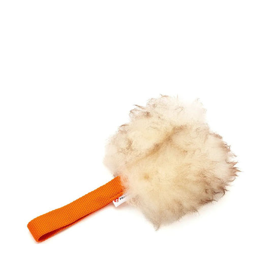 Psarvard Trainer Pocket