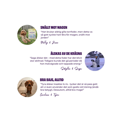Petgood Insekter & Ris