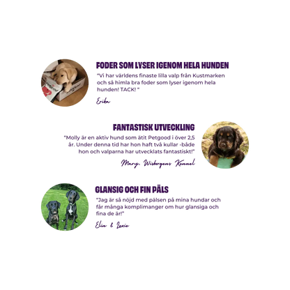 Petgood PUPPY insektsbaserat helfoder
